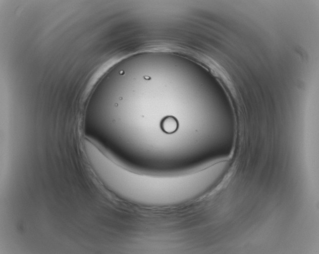 X0000114021481200910161745