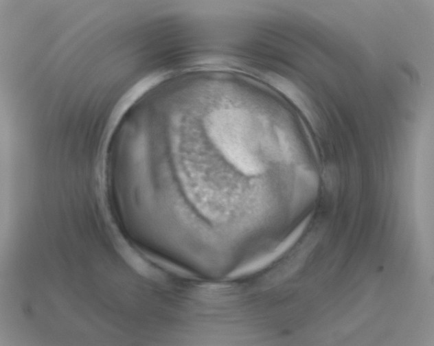 X0000114021482200910161745