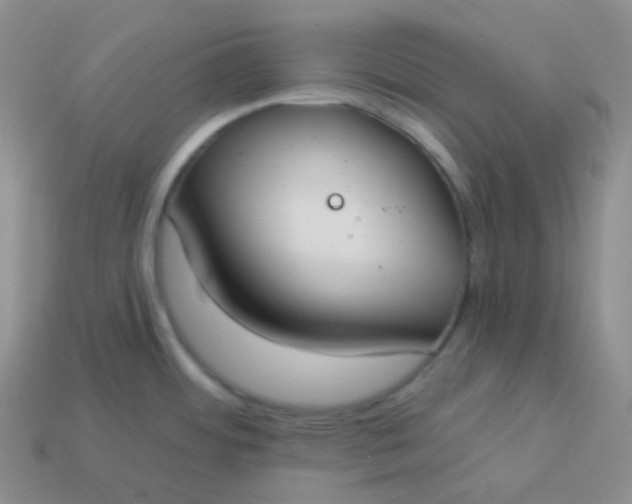 X0000114021484200910161745