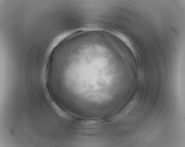 X0000114021485200910161745