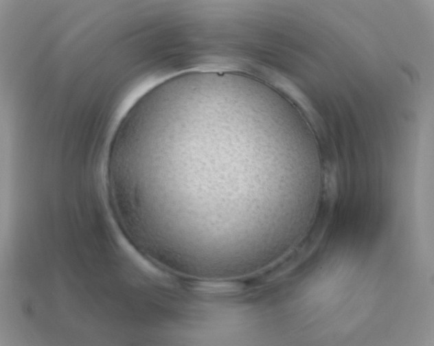 X0000114021487200910161745