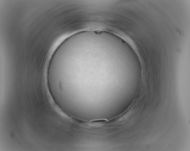 X0000114021488200910161745