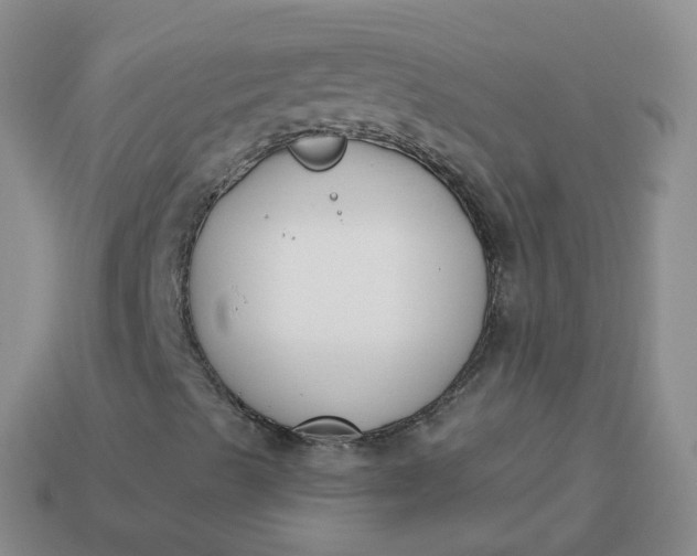 X0000114021489200910161744