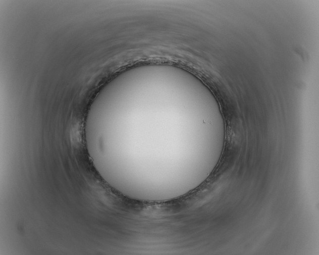 X0000114021490200910161744