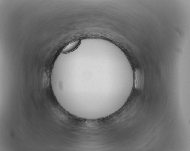 X0000114021491200910161744