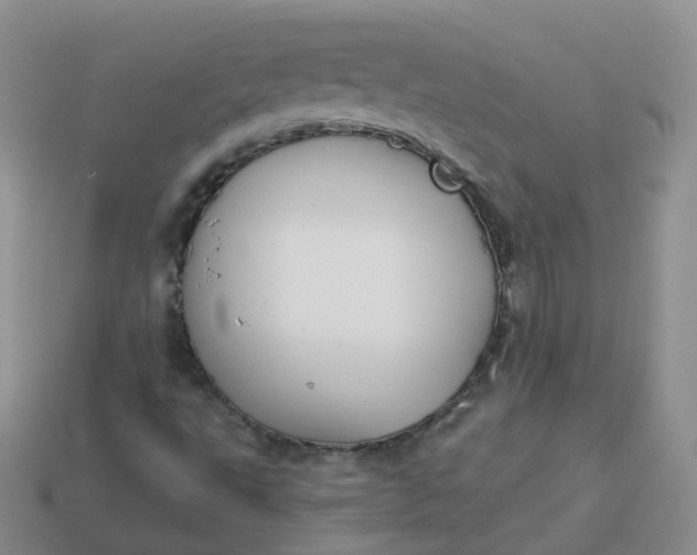 X0000114021495200910161744