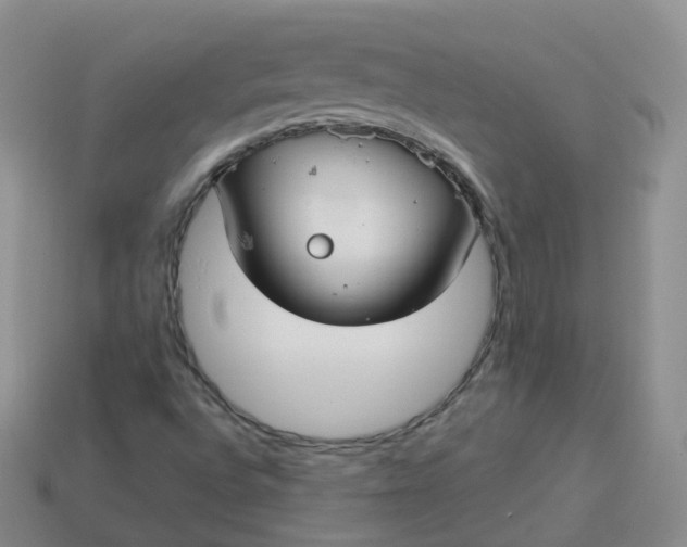 X0000114021496200910161744