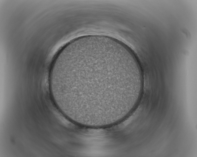 X0000114021498200910161744