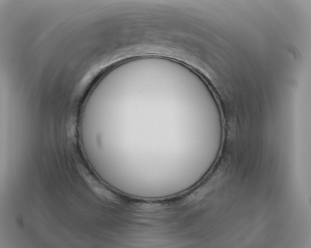 X0000114021499200910161744