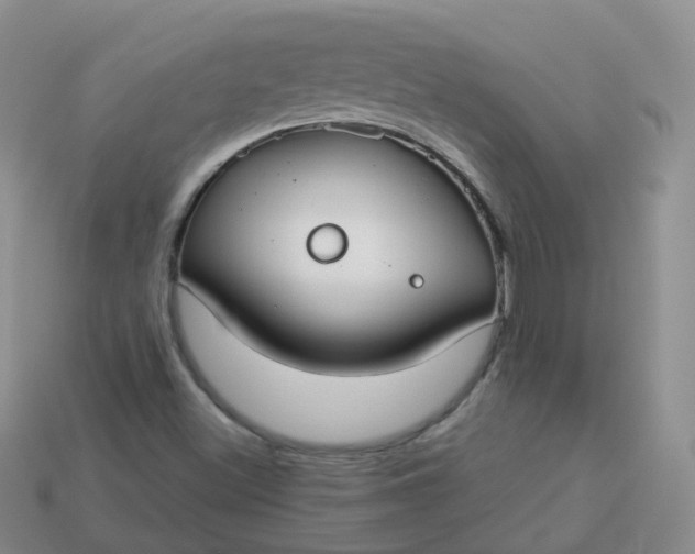 X0000114021500200910161744