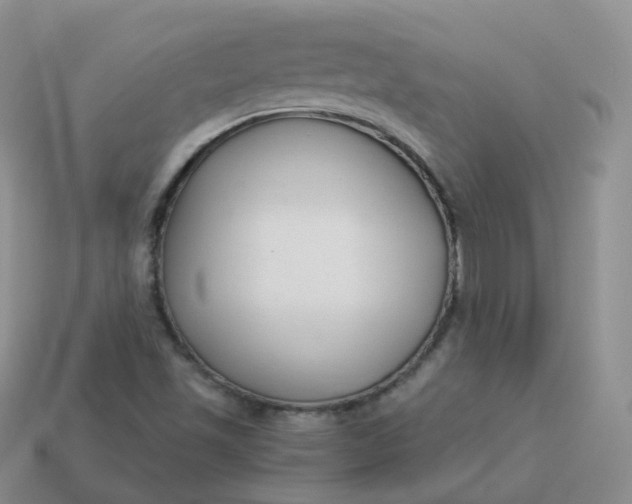 X0000114021501200910161744