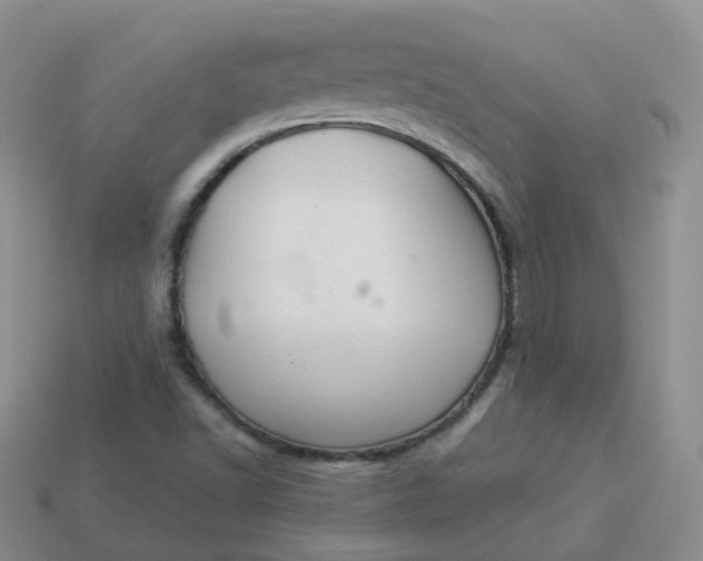 X0000114021502200910161744