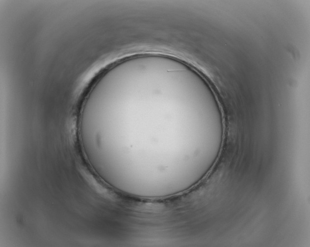 X0000114021503200910161744