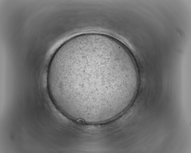 X0000114021504200910161744