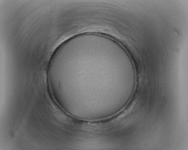 X0000114021505200910161744