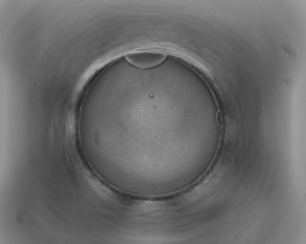 X0000114021506200910161744