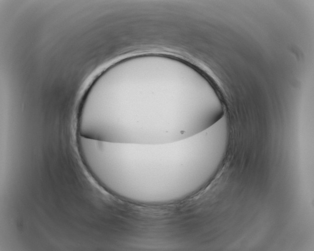 X0000114021508200910161744