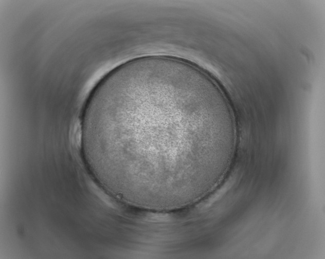 X0000114021509200910161744