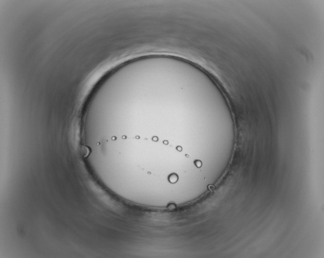 X0000114021511200910161745