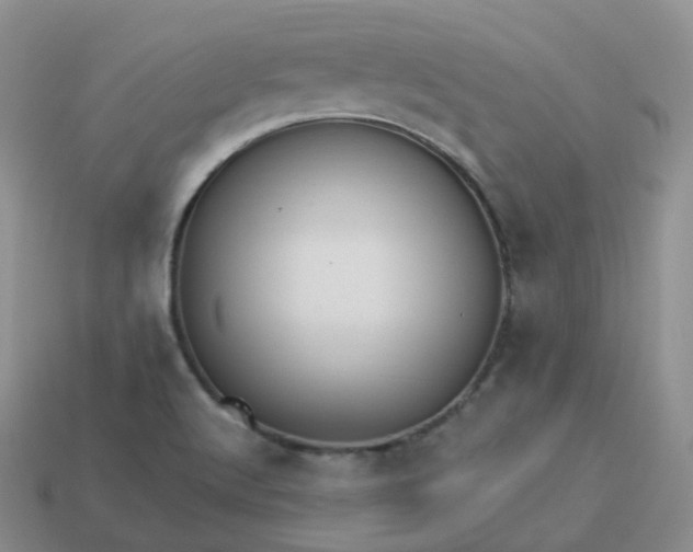 X0000114021512200910161745