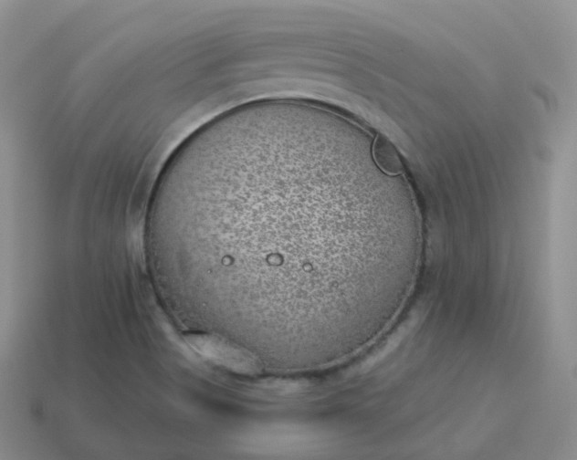 X0000114021513200910161745