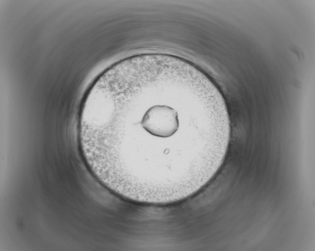 X0000114021514200910161745