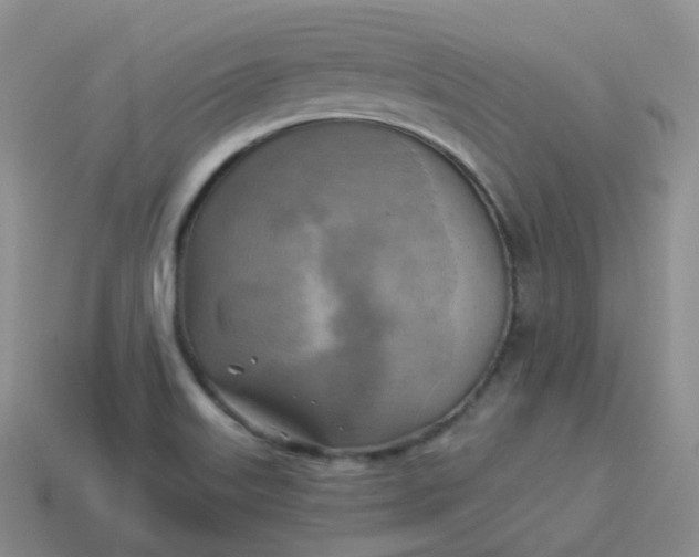 X0000114021515200910161745