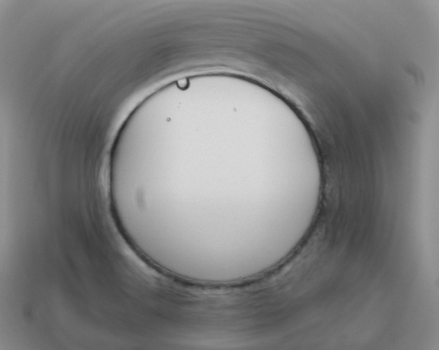 X0000114021516200910161745