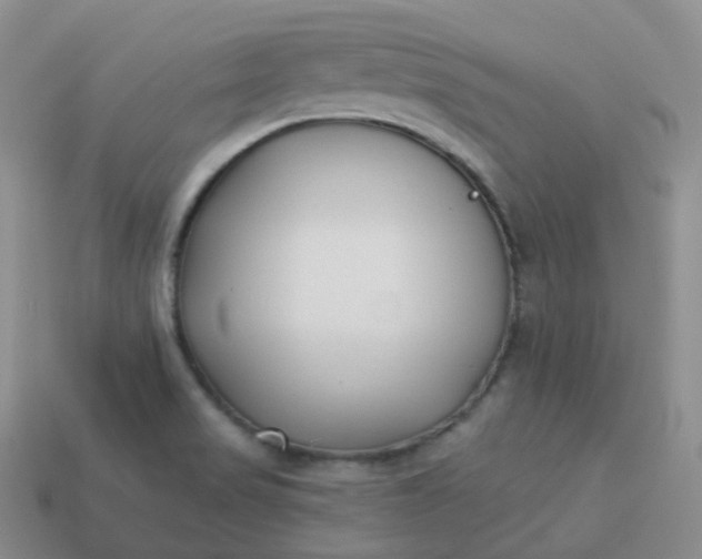 X0000114021517200910161745