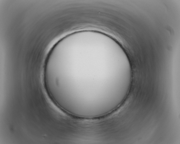 X0000114021518200910161745