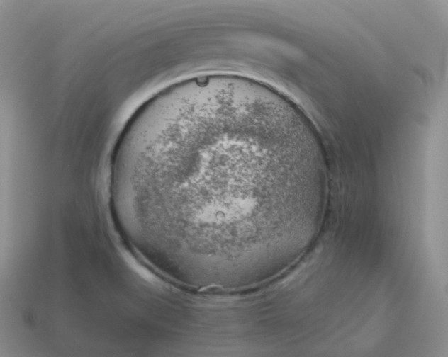 X0000114021519200910161745