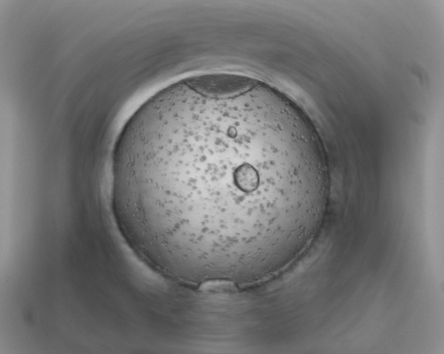 X0000114021520200910161745