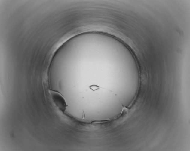 X0000114021521200910161745