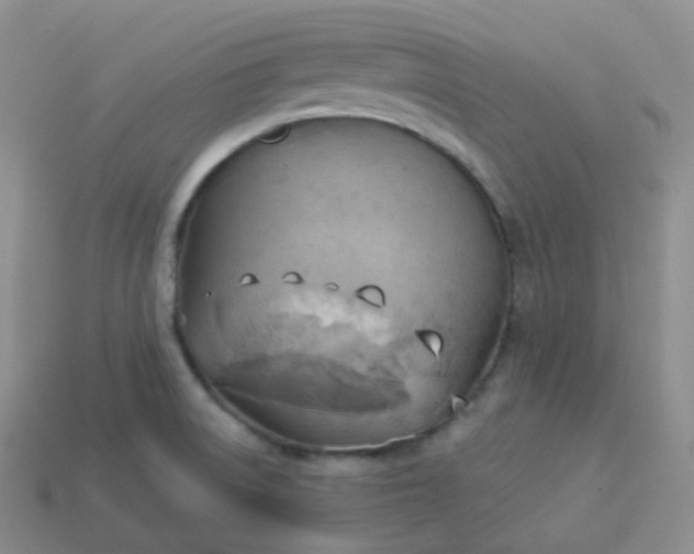 X0000114021522200910161745