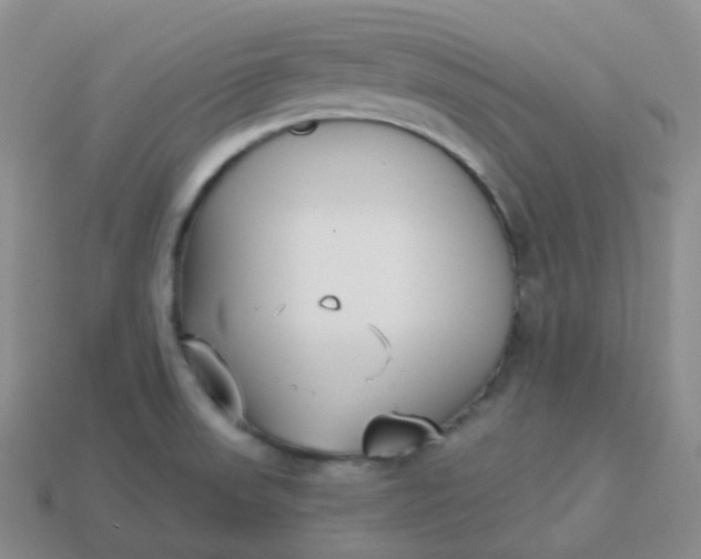 X0000114021523200910161745