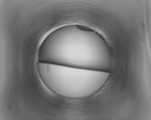 X0000114021524200910161745