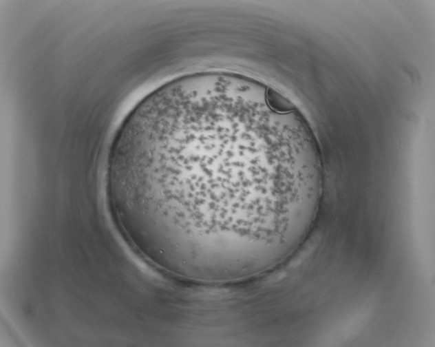 X0000114021525200910161745