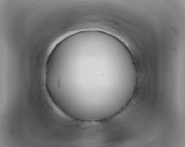 X0000114021526200910161745