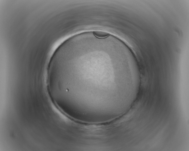 X0000114021527200910161745