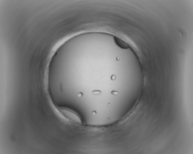 X0000114021528200910161745