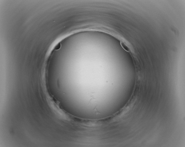 X0000114021530200910161745