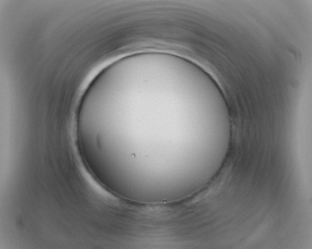 X0000114021531200910161745