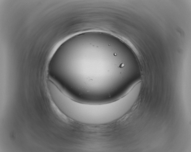 X0000114021532200910161745