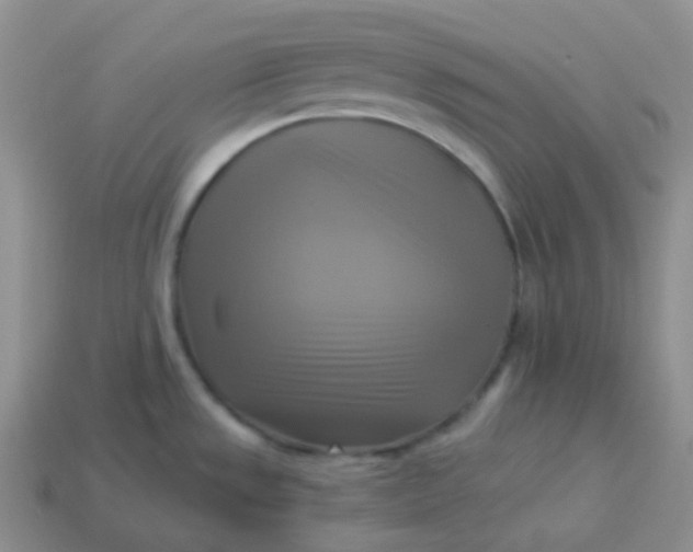 X0000114021533200910161745