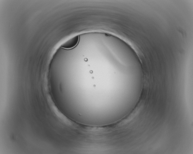 X0000114021534200910161745