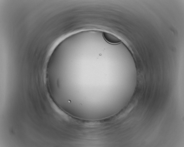 X0000114021535200910161745