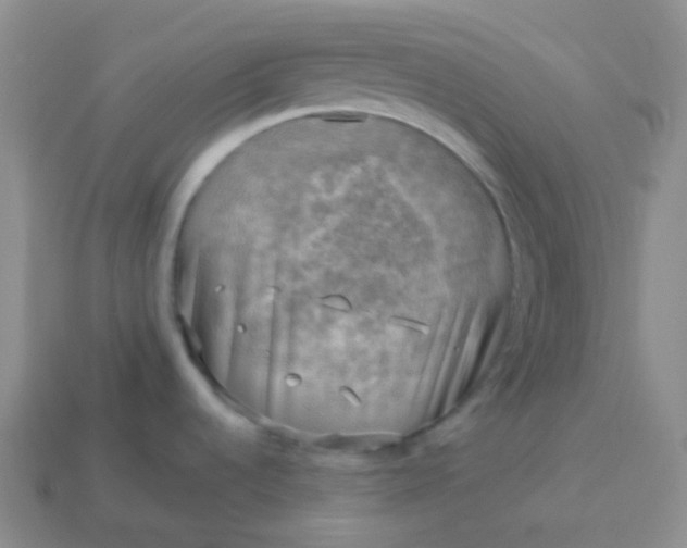 X0000114021536200910161745