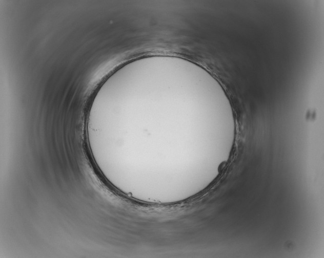 X0000114020005200910231847