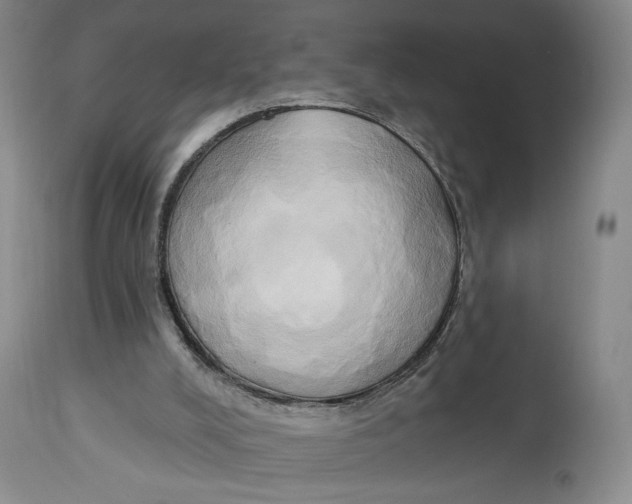 X0000114020008200910231847