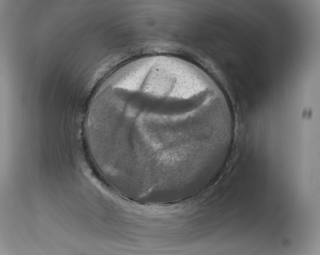 X0000114020010200910231847